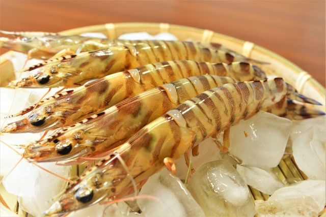 ざるに乗ったエビ